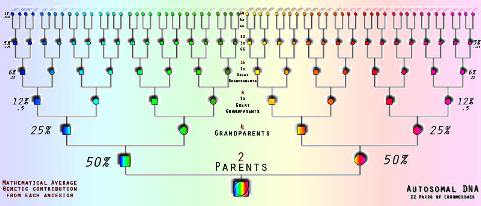 Six Generation Ancestor Chart